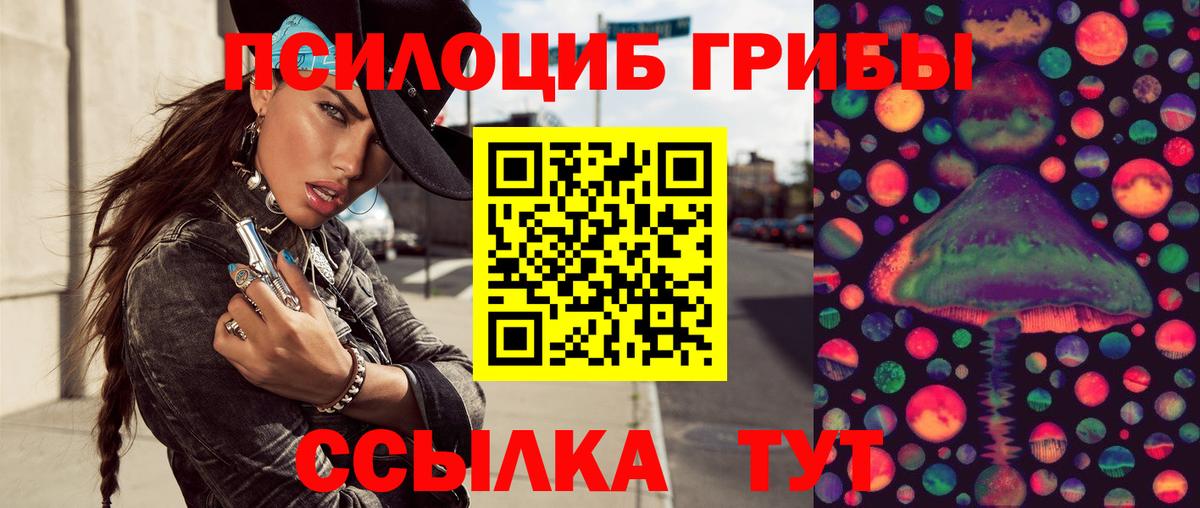 Орск  где купить   Вход с VPN  Псилоцибиновые грибы MAGIC MUSHROOMS  Псилоцибиновые грибы Psilocybine cubensis 